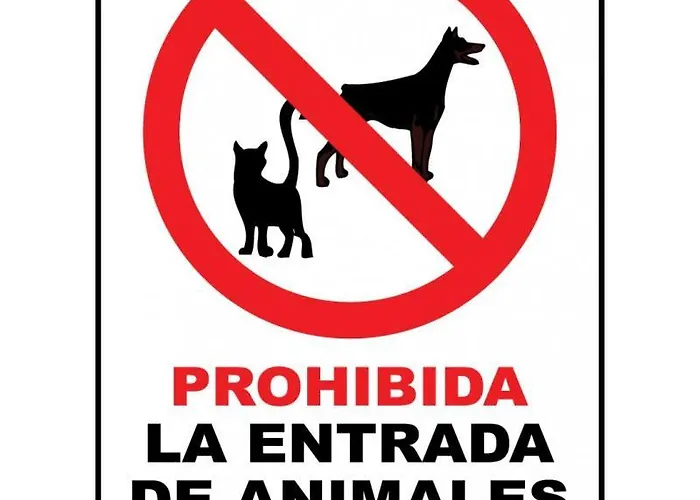 Ferienhaus Casa Pataco *